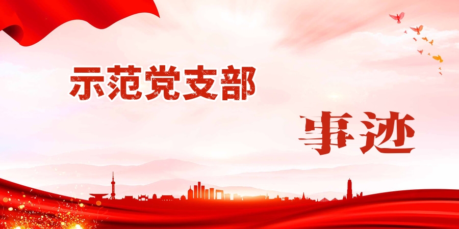 陜西地礦集團示范黨支部典型事跡(一)